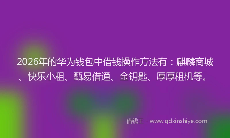 2026年的华为钱包中借钱操作方法有：麒麟商城、快乐小租、甄易借通、金钥匙、厚厚租机等。