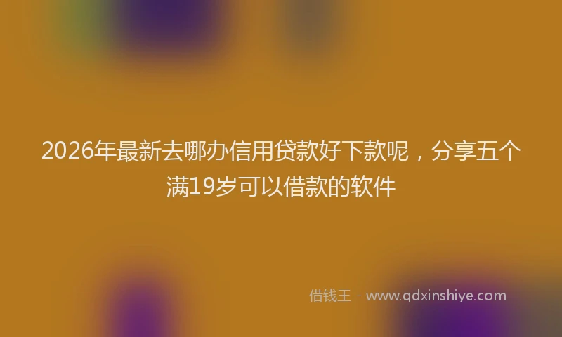 2026年最新去哪办信用贷款好下款呢，分享五个满19岁可以借款的软件