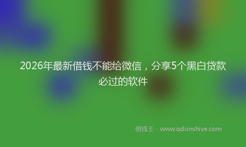 2026年最新借钱不能给微信，分享5个黑白贷款必过的软件