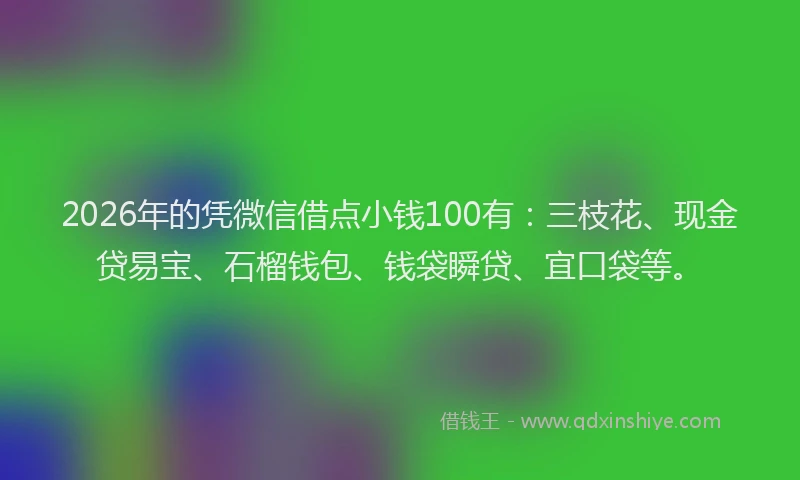 2026年的凭微信借点小钱100有：三枝花、现金贷易宝、石榴钱包、钱袋瞬贷、宜口袋等。