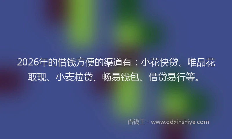 2026年的借钱方便的渠道有:小花快贷、唯品花取现、小麦粒贷、畅易钱包、借贷易行等。