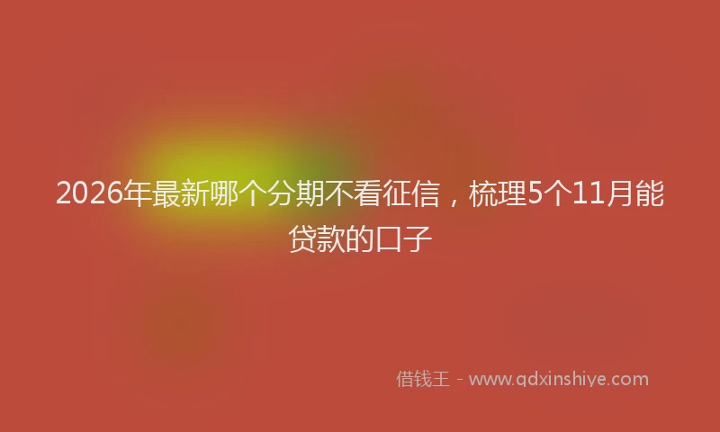 2026年最新哪个分期不看征信，梳理5个11月能贷款的口子