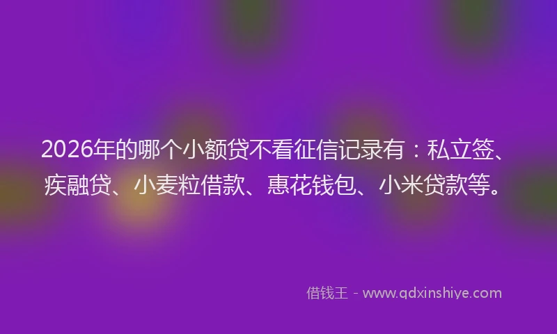 2026年的哪个小额贷不看征信记录有:私立签、疾融贷、小麦粒借款、惠花钱包、小米贷款等。