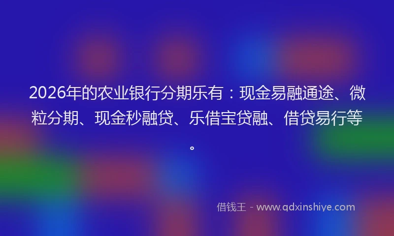 2026年的农业银行分期乐有：现金易融通途、微粒分期、现金秒融贷、乐借宝贷融、借贷易行等。