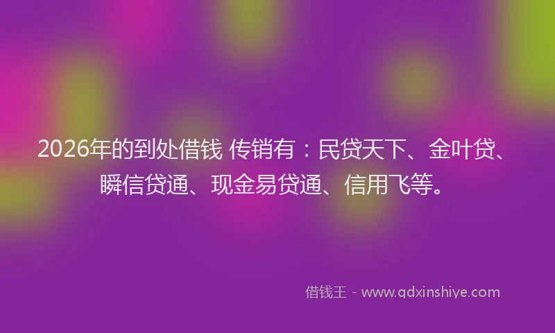 2026年的到处借钱 传销有：民贷天下、金叶贷、瞬信贷通、现金易贷通、信用飞等。