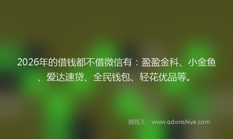 2026年的借钱都不借微信有：盈盈金科、小金鱼、爱达速贷、全民钱包、轻花优品等。