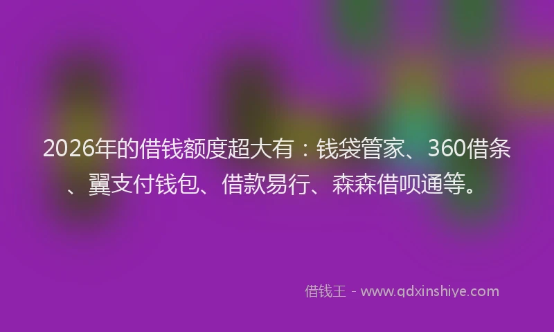 2026年的借钱额度超大有:钱袋管家、360借条、翼支付钱包、借款易行、森森借呗通等。