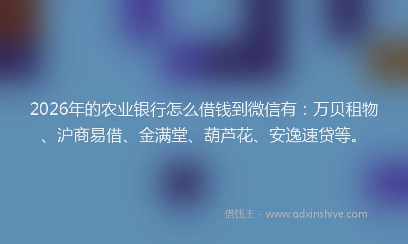 2026年的农业银行怎么借钱到微信有：万贝租物、沪商易借、金满堂、葫芦花、安逸速贷等。