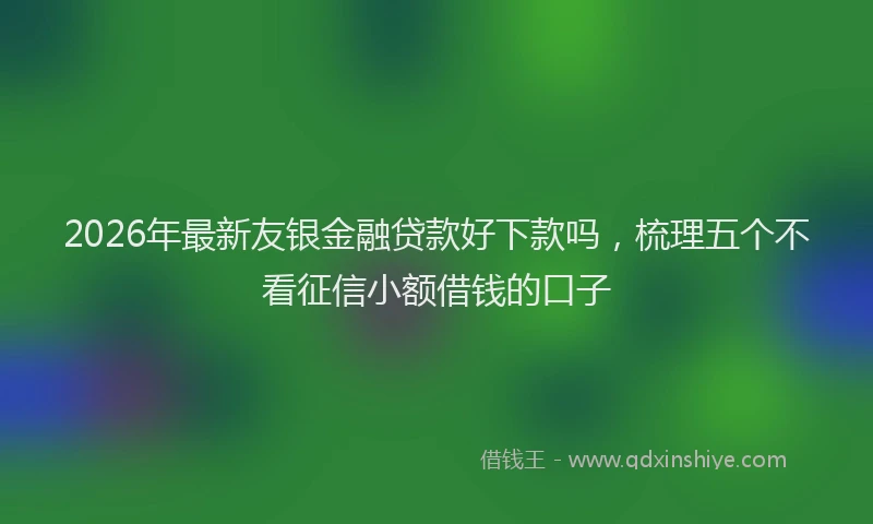 2026年最新友银金融贷款好下款吗，梳理五个不看征信小额借钱的口子