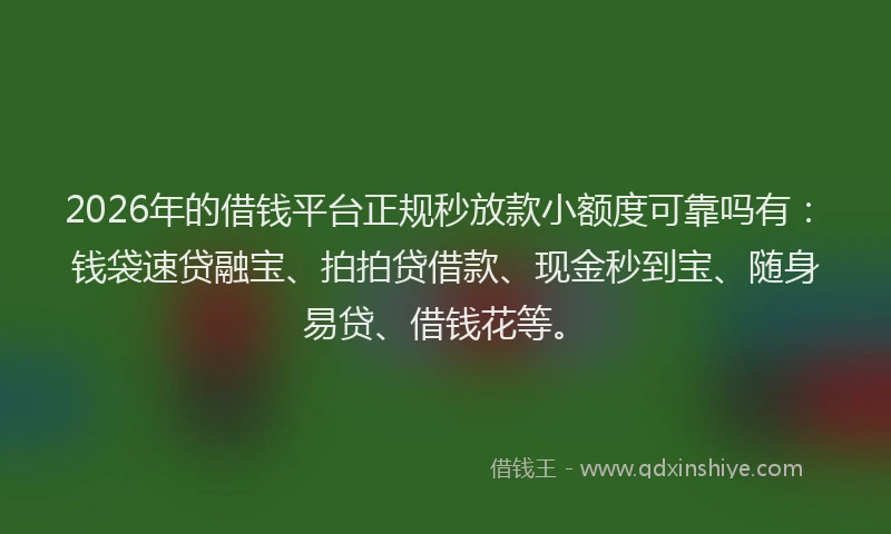 2026年的借钱平台正规秒放款小额度可靠吗有：钱袋速贷融宝、拍拍贷借款、现金秒到宝、随身易贷、借钱花等。