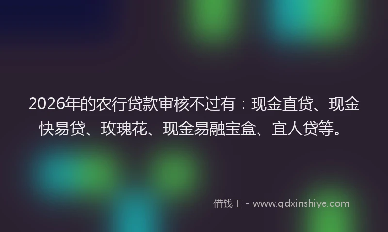 2026年的农行贷款审核不过有：现金直贷、现金快易贷、玫瑰花、现金易融宝盒、宜人贷等。