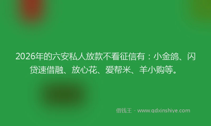 2026年的六安私人放款不看征信有：小金鸽、闪贷速借融、放心花、爱帮米、羊小购等。