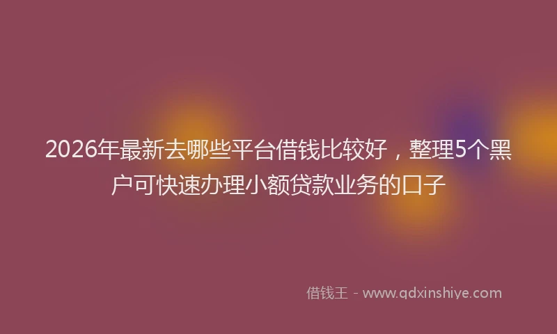 2026年最新去哪些平台借钱比较好，整理5个黑户可快速办理小额贷款业务的口子