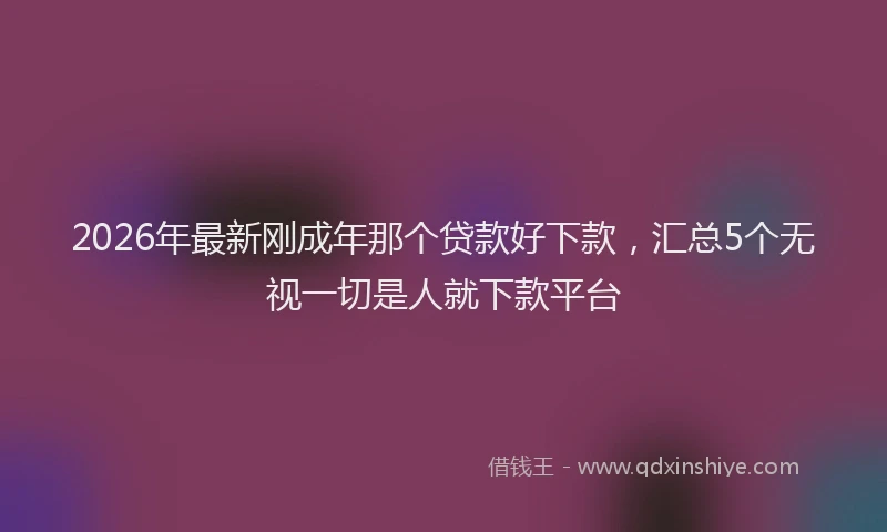 2026年最新刚成年那个贷款好下款，汇总5个无视一切是人就下款平台