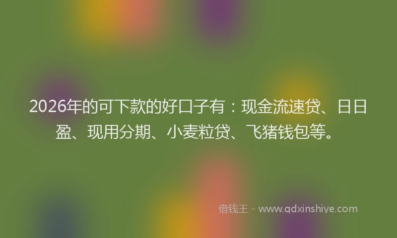 2026年的可下款的好口子有:现金流速贷、日日盈、现用分期、小麦粒贷、飞猪钱包等。