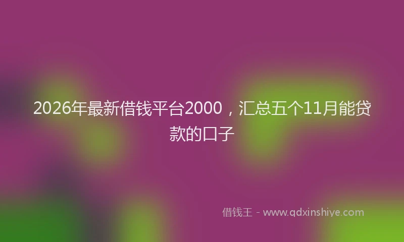 2026年最新借钱平台2000,汇总五个11月能贷款的口子