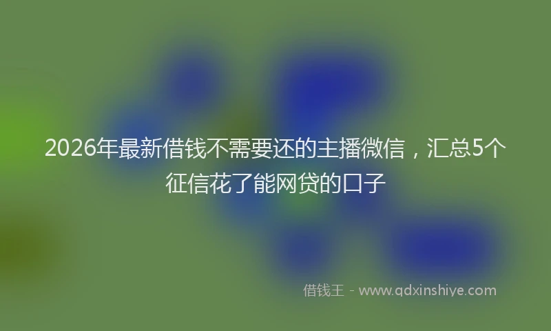 2026年最新借钱不需要还的主播微信，汇总5个征信花了能网贷的口子
