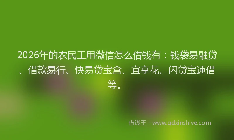 2026年的农民工用微信怎么借钱有：钱袋易融贷、借款易行、快易贷宝盒、宜享花、闪贷宝速借等。