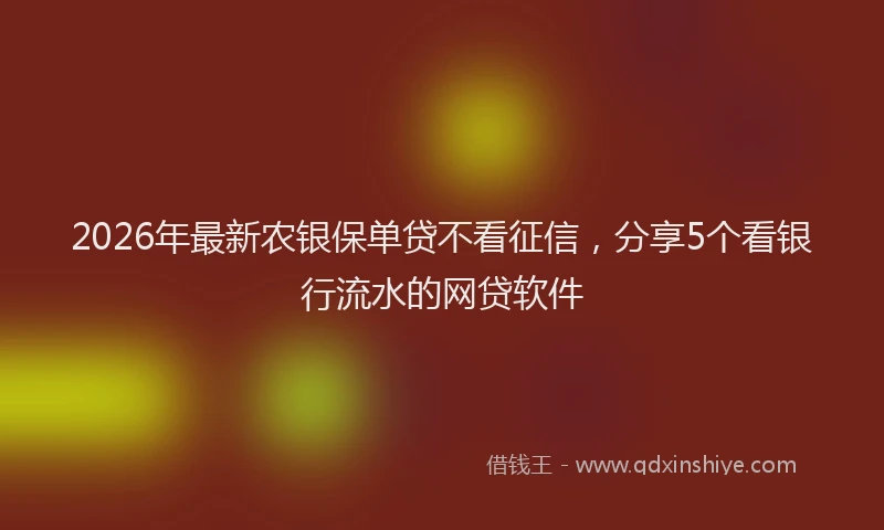 2026年最新农银保单贷不看征信，分享5个看银行流水的网贷软件