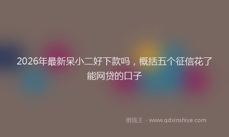 2026年最新呆小二好下款吗,概括五个征信花了能网贷的口子