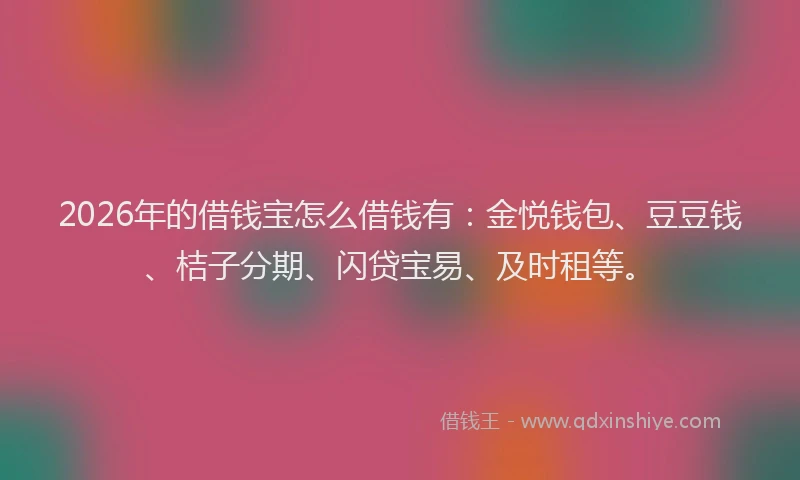 2026年的借钱宝怎么借钱有：金悦钱包、豆豆钱、桔子分期、闪贷宝易、及时租等。