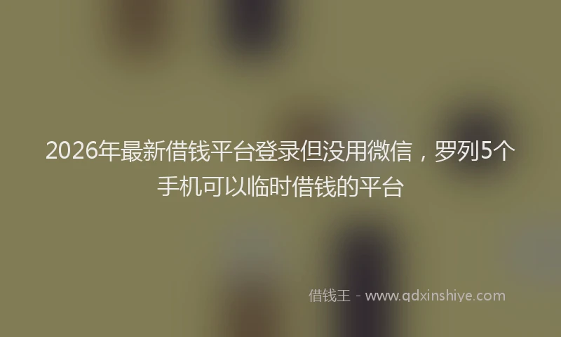 2026年最新借钱平台登录但没用微信，罗列5个手机可以临时借钱的平台