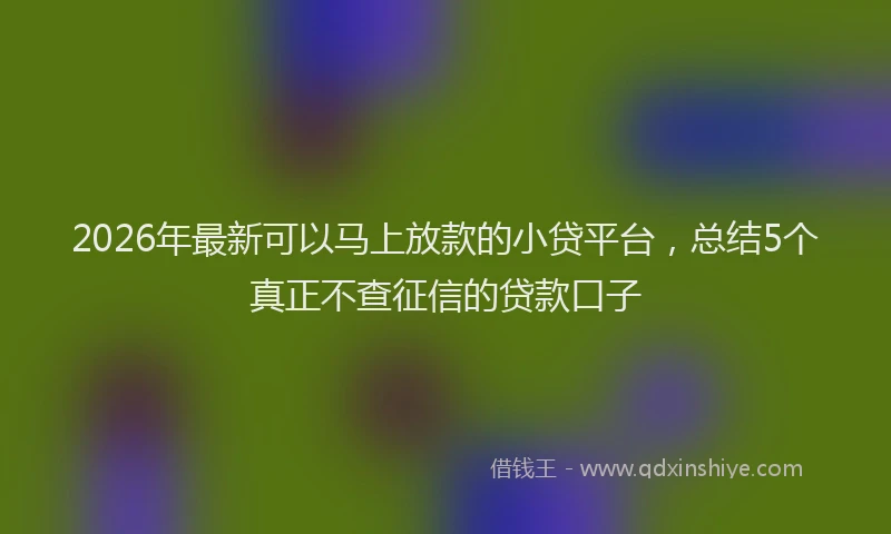 2026年最新可以马上放款的小贷平台，总结5个真正不查征信的贷款口子