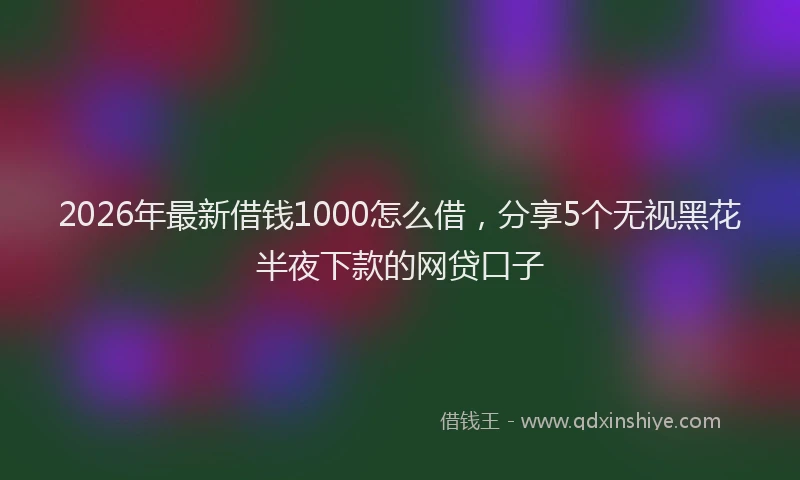 2026年最新借钱1000怎么借，分享5个无视黑花半夜下款的网贷口子