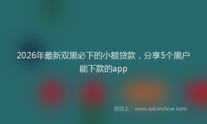 2026年最新双黑必下的小额贷款,分享5个黑户能下款的app