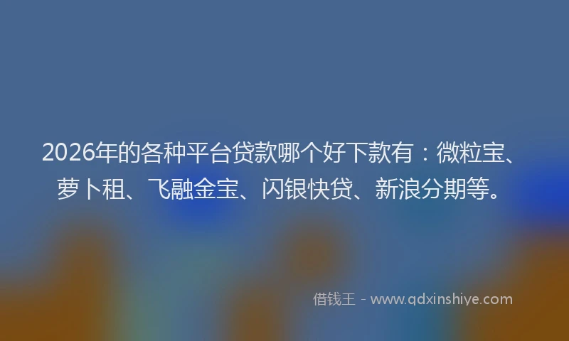 2026年的各种平台贷款哪个好下款有：微粒宝、萝卜租、飞融金宝、闪银快贷、新浪分期等。