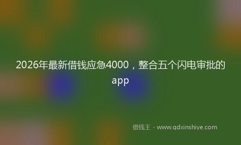 2026年最新借钱应急4000，整合五个闪电审批的app