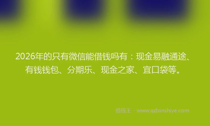 2026年的只有微信能借钱吗有:现金易融通途、有钱钱包、分期乐、现金之家、宜口袋等。