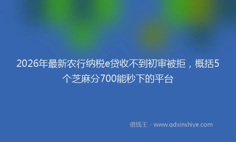 2026年最新农行纳税e贷收不到初审被拒,概括5个芝麻分700能秒下的平台