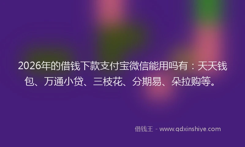 2026年的借钱下款支付宝微信能用吗有：天天钱包、万通小贷、三枝花、分期易、朵拉购等。