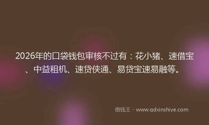 2026年的口袋钱包审核不过有:花小猪、速借宝、中益租机、速贷侠通、易贷宝速易融等。