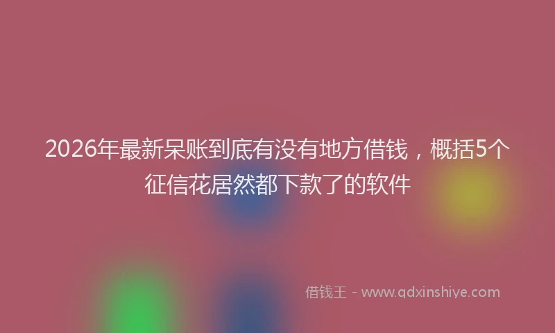 2026年最新呆账到底有没有地方借钱，概括5个征信花居然都下款了的软件