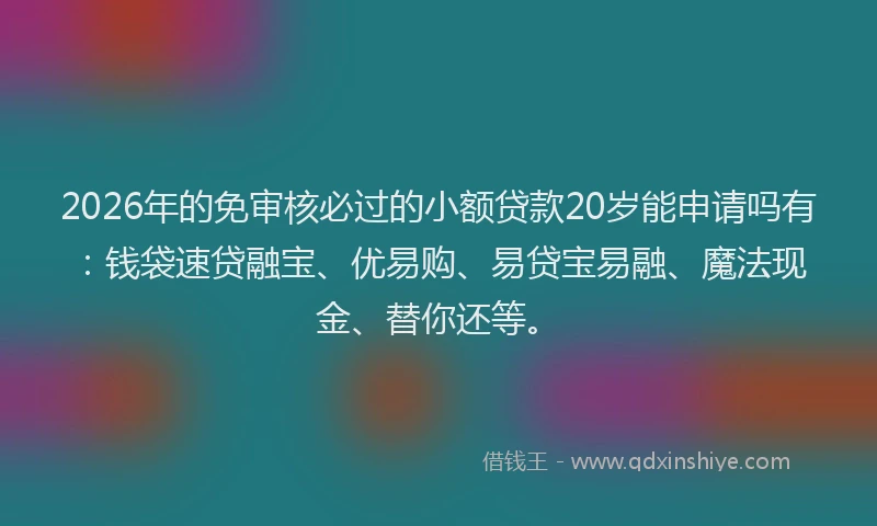 2026年的免审核必过的小额贷款20岁能申请吗有：钱袋速贷融宝、优易购、易贷宝易融、魔法现金、替你还等。