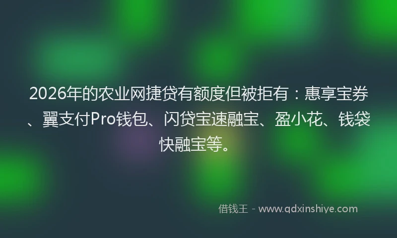 2026年的农业网捷贷有额度但被拒有：惠享宝券、翼支付Pro钱包、闪贷宝速融宝、盈小花、钱袋快融宝等。