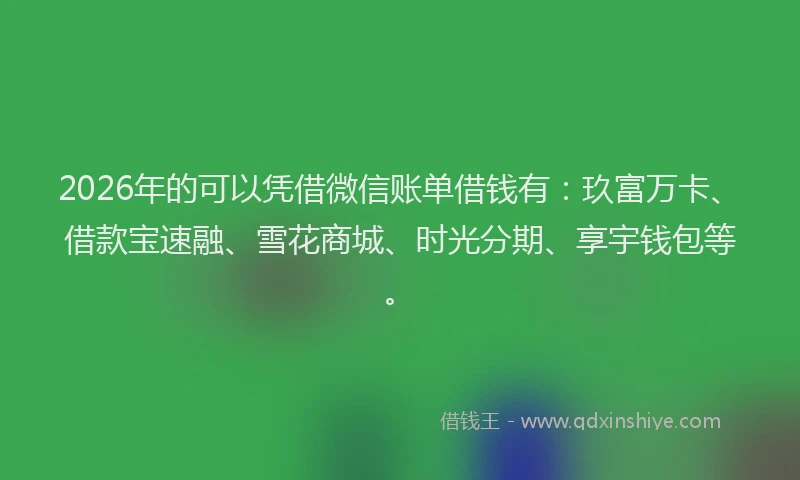 2026年的可以凭借微信账单借钱有：玖富万卡、借款宝速融、雪花商城、时光分期、享宇钱包等。