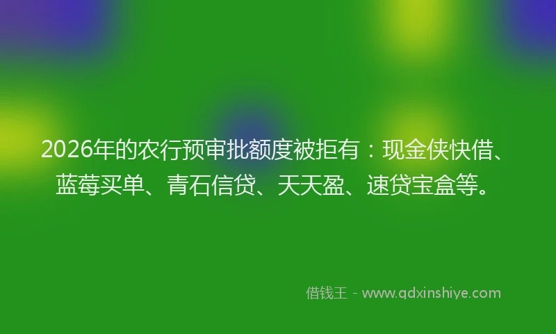 2026年的农行预审批额度被拒有：现金侠快借、蓝莓买单、青石信贷、天天盈、速贷宝盒等。