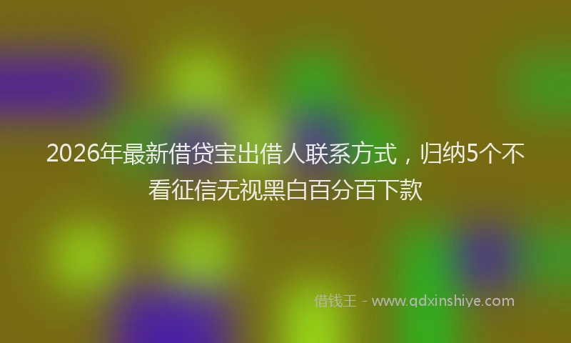 2026年最新借贷宝出借人联系方式，归纳5个不看征信无视黑白百分百下款