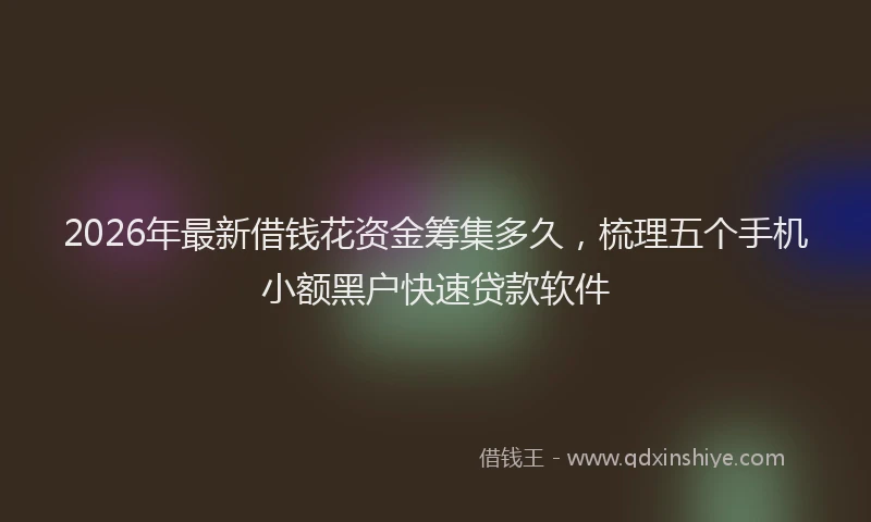 2026年最新借钱花资金筹集多久，梳理五个手机小额黑户快速贷款软件