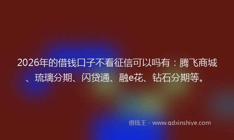 2026年的借钱口子不看征信可以吗有：腾飞商城、琉璃分期、闪贷通、融e花、钻石分期等。