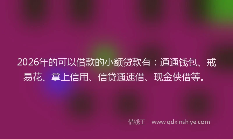 2026年的可以借款的小额贷款有：通通钱包、戒易花、掌上信用、信贷通速借、现金侠借等。