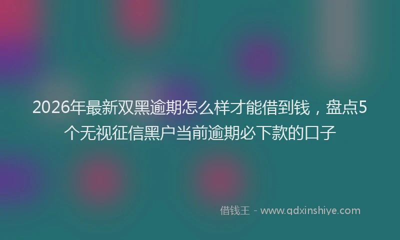 2026年最新双黑逾期怎么样才能借到钱，盘点5个无视征信黑户当前逾期必下款的口子