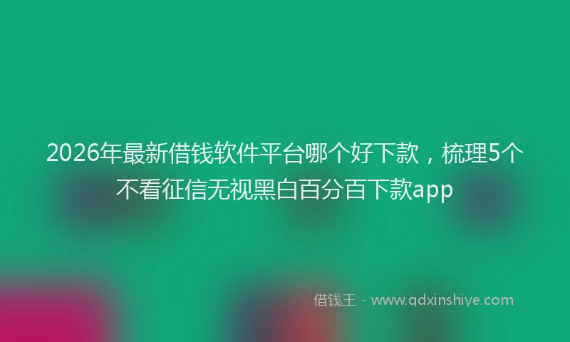 2026年最新借钱软件平台哪个好下款，梳理5个不看征信无视黑白百分百下款app