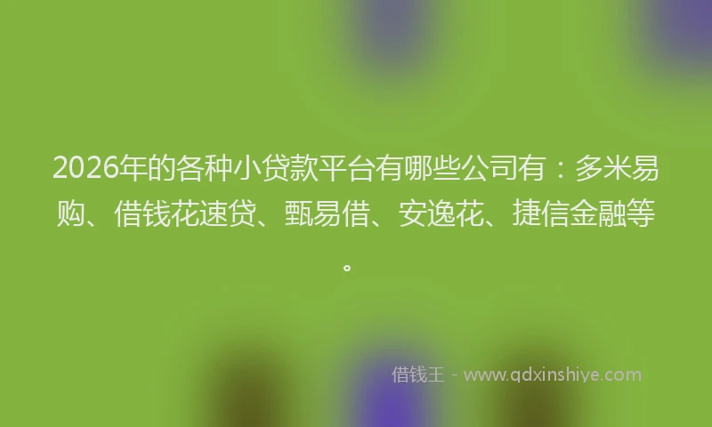2026年的各种小贷款平台有哪些公司有：多米易购、借钱花速贷、甄易借、安逸花、捷信金融等。