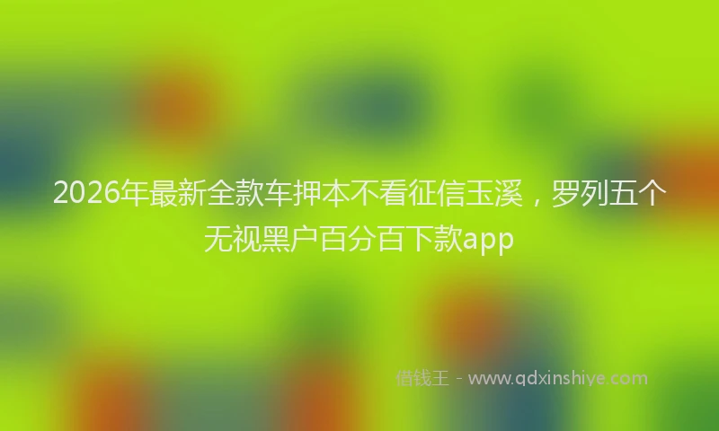 2026年最新全款车押本不看征信玉溪，罗列五个无视黑户百分百下款app