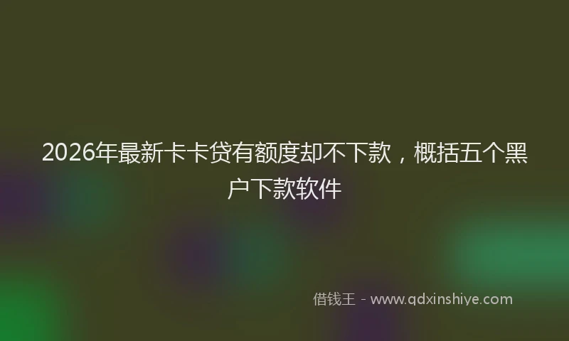 2026年最新卡卡贷有额度却不下款，概括五个黑户下款软件