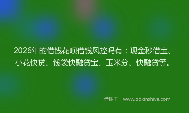 2026年的借钱花呗借钱风控吗有：现金秒借宝、小花快贷、钱袋快融贷宝、玉米分、快融贷等。
